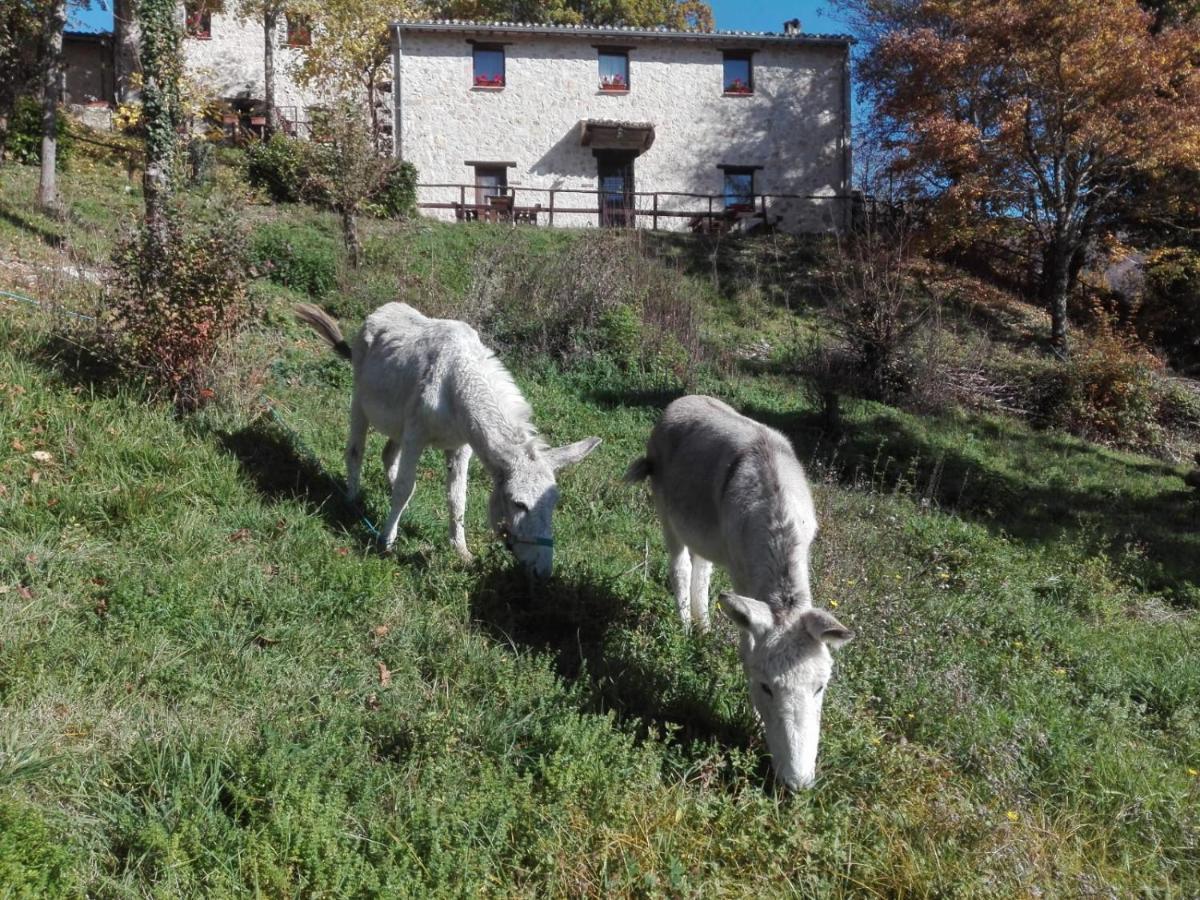 Buggiano I Casali Del Buontempoヴィラ エクステリア 写真